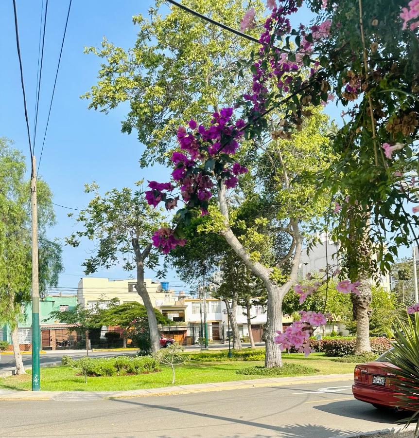 Casa Verde Jesus Maria - Zona Residencial Lima Ngoại thất bức ảnh
